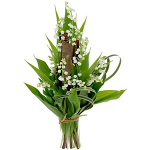 Muguet