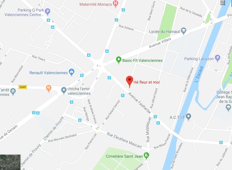 Plan he fleur et moi 102 avenue faidherbe 59300 valenciennes
