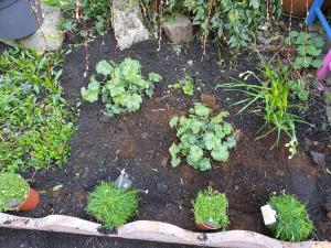 Jardin fleuriste de Valenciennes hé fleur et moi