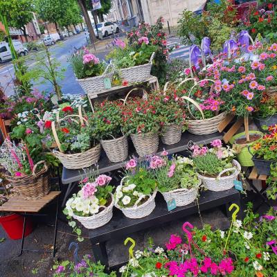 fleuriste valenciennes