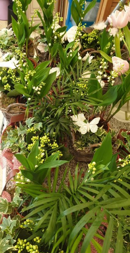 Muguet fleuriste valenciennes