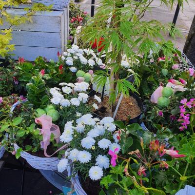 Pépinière fleuriste de Valenciennes